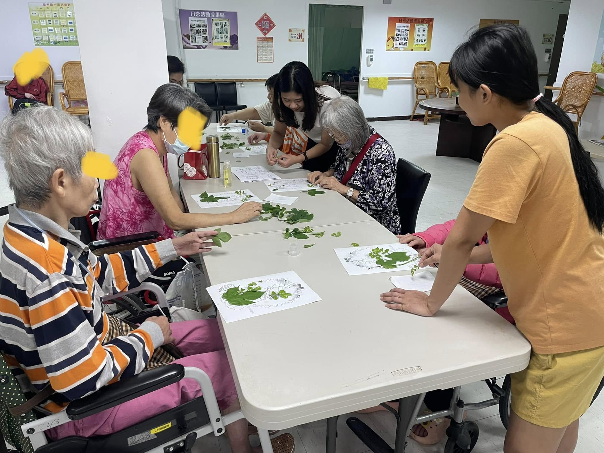 與爺奶共創自然小畫作──療癒系《葉片黏貼畫》手作時光